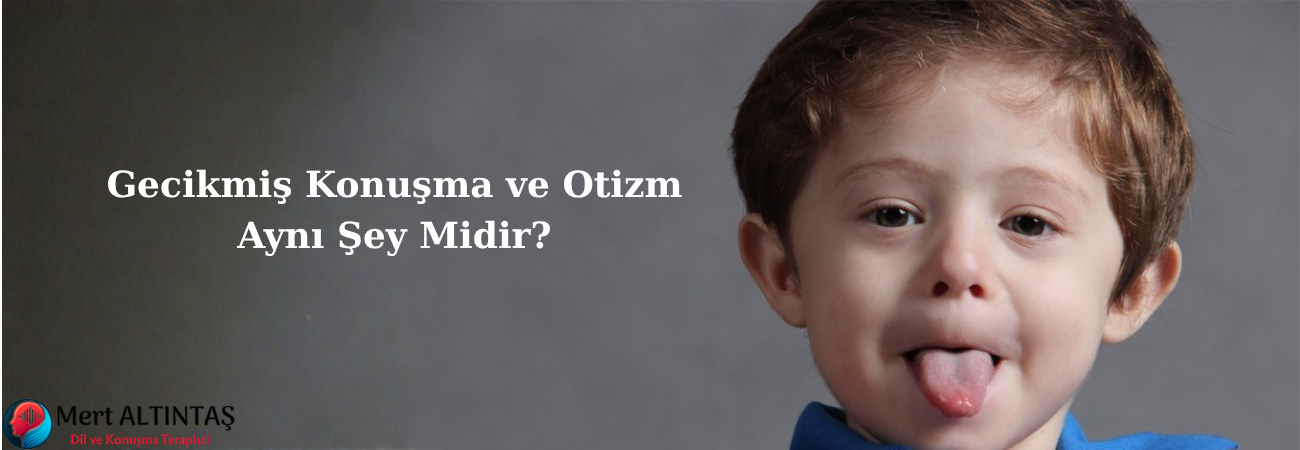 Gecikmiş Konuşma ve Otizm Aynı Şey Midir